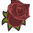 Falling Rose Petal